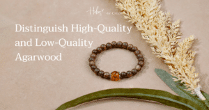 Distinguish High-Quality and Low-Quality Agarwood
